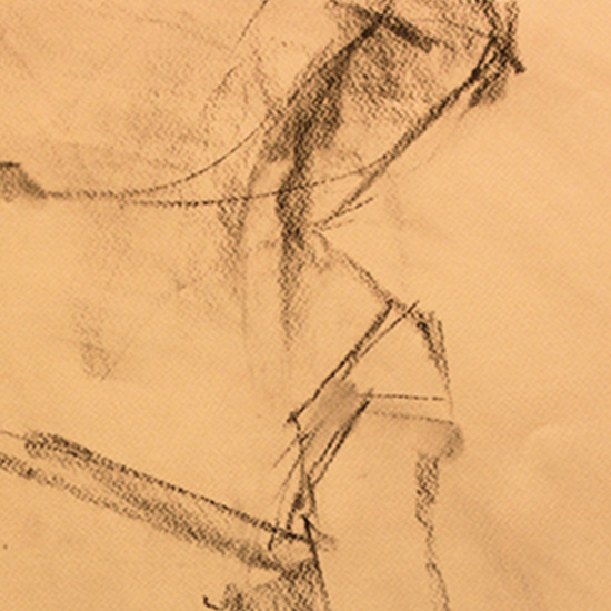 Lyrical Line Charcoal on Paper